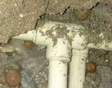 轮台测漏水多少钱