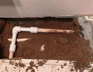 轮台测漏水哪家好