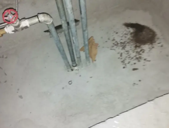 轮台卫生间测漏水价格明细