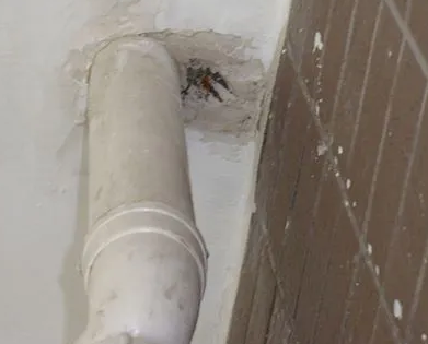 轮台漏水检测哪家好